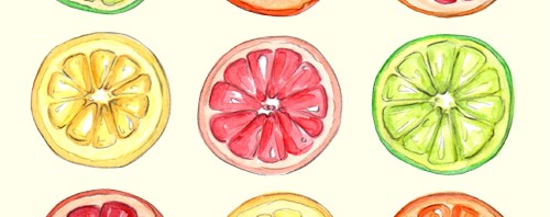 Summer Citrus Illustration by Joanna Baker