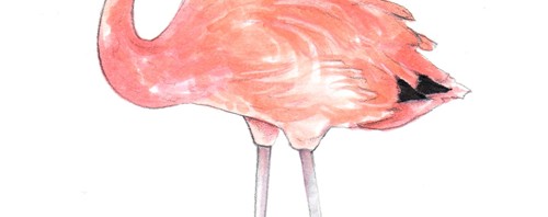 Pink Flamingo Illustration by Joanna Baker