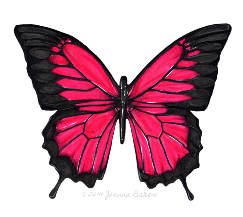 Pink Butterfly Illustration by Joanna Baker