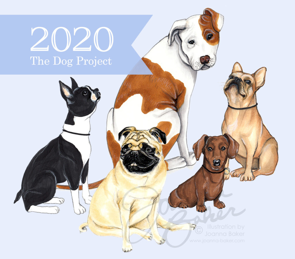 The Dog Project - Illustrations by Joanna Baker
