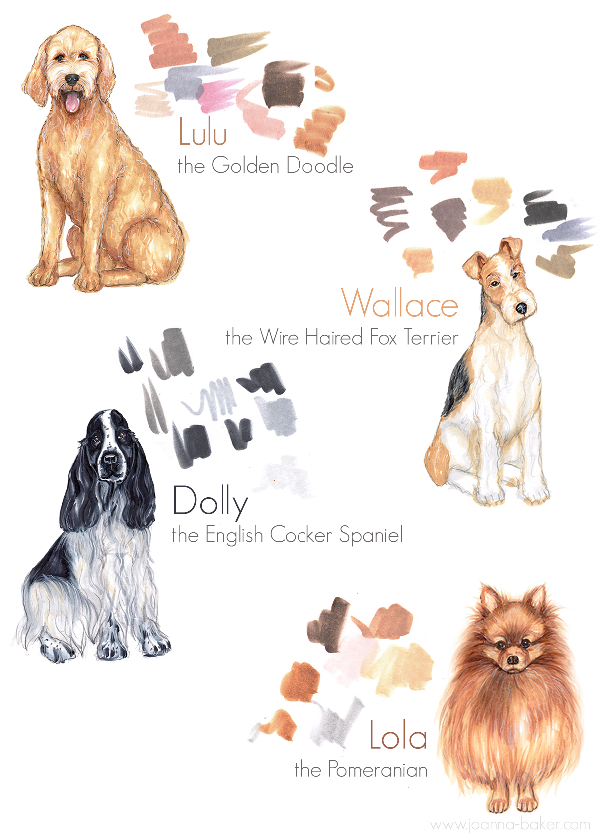 Meet the New Dogs! Illustration by Joanna Baker
