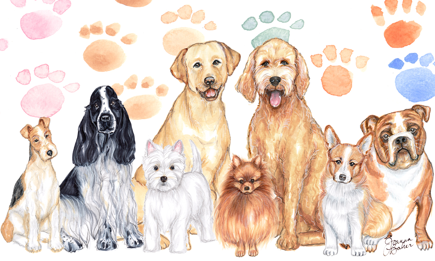 Dog Illustrations by Joanna Baker
