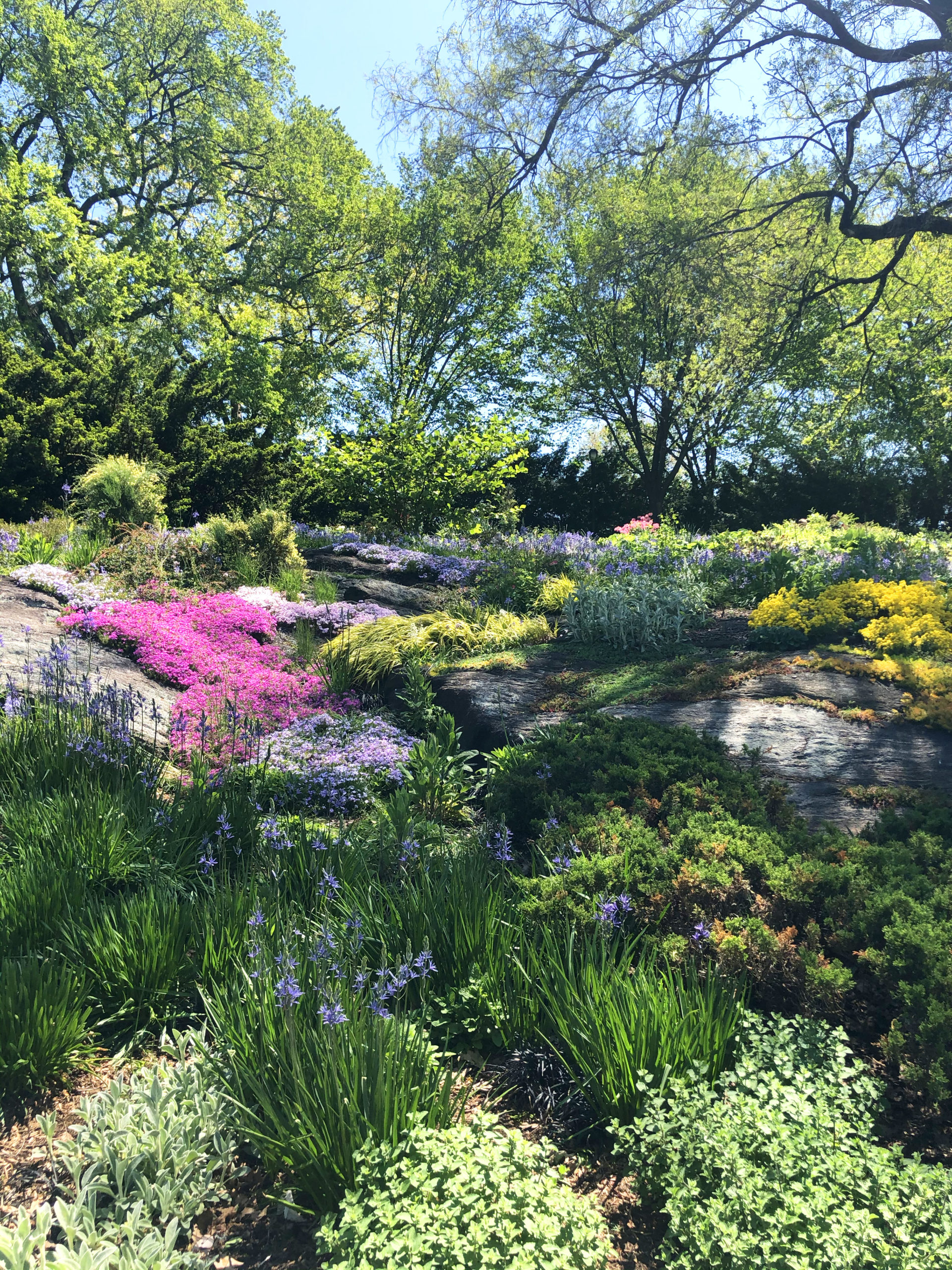 Into the Garden by Joanna Baker